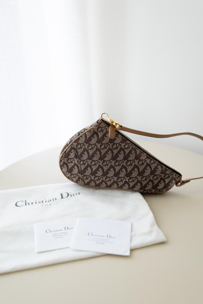Dior Saddle