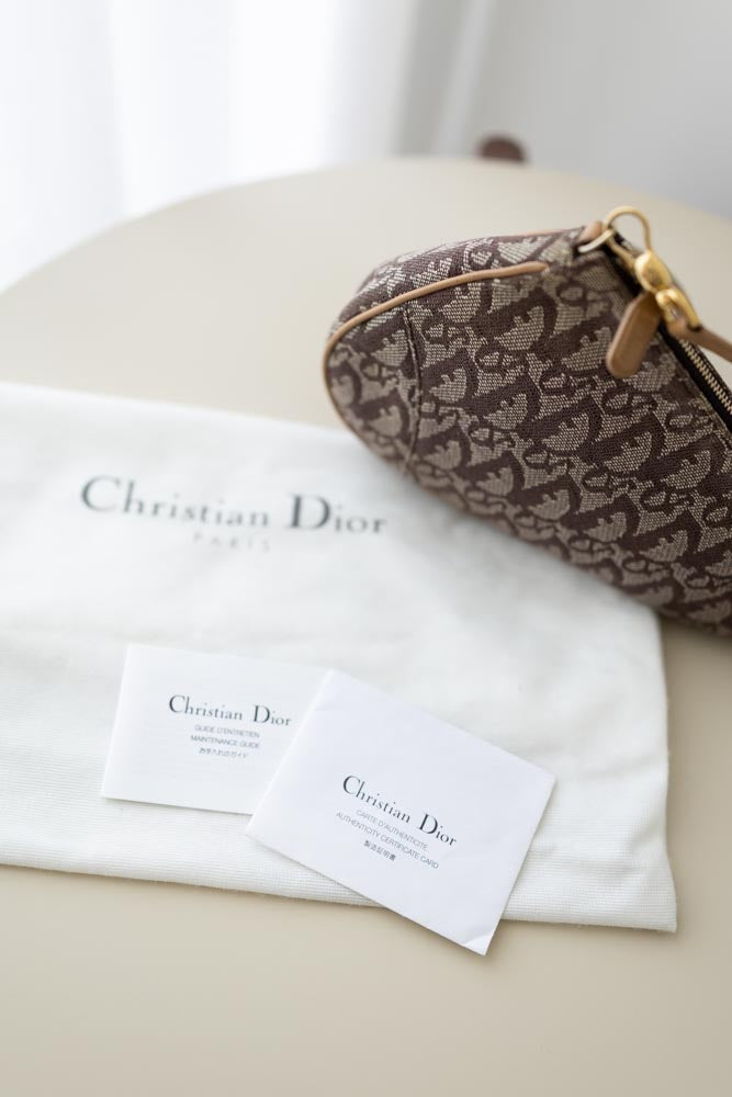 Dior Saddle