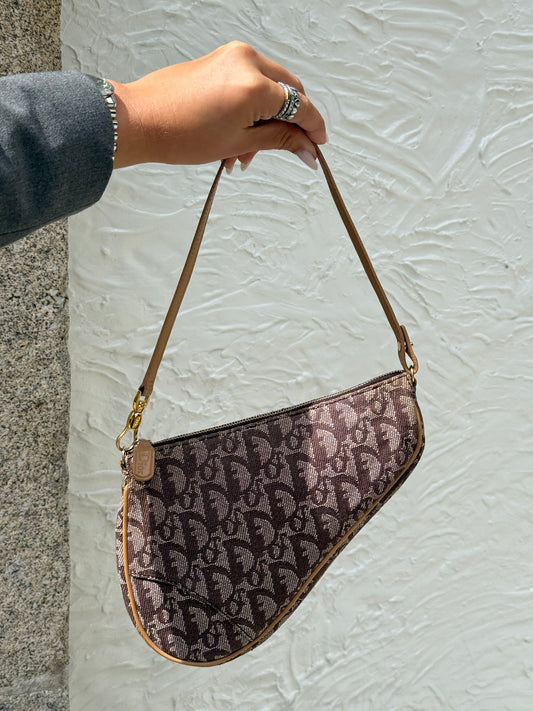 Dior Saddle